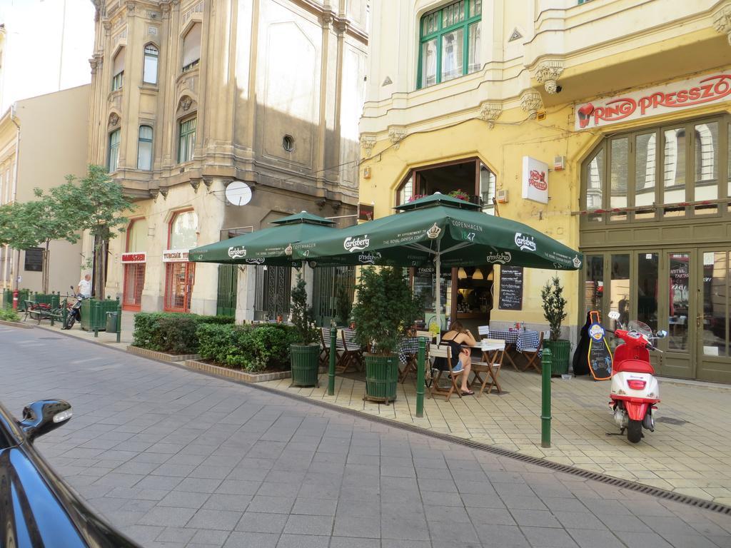 Raday Street Apartment 부다페스트 객실 사진